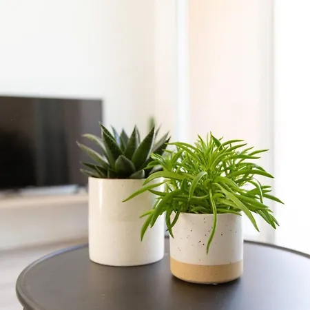 Les Verdiers Dans Résidence Calme à An *